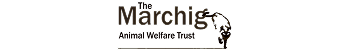 Jeanne Marchig Animal Welfare Award