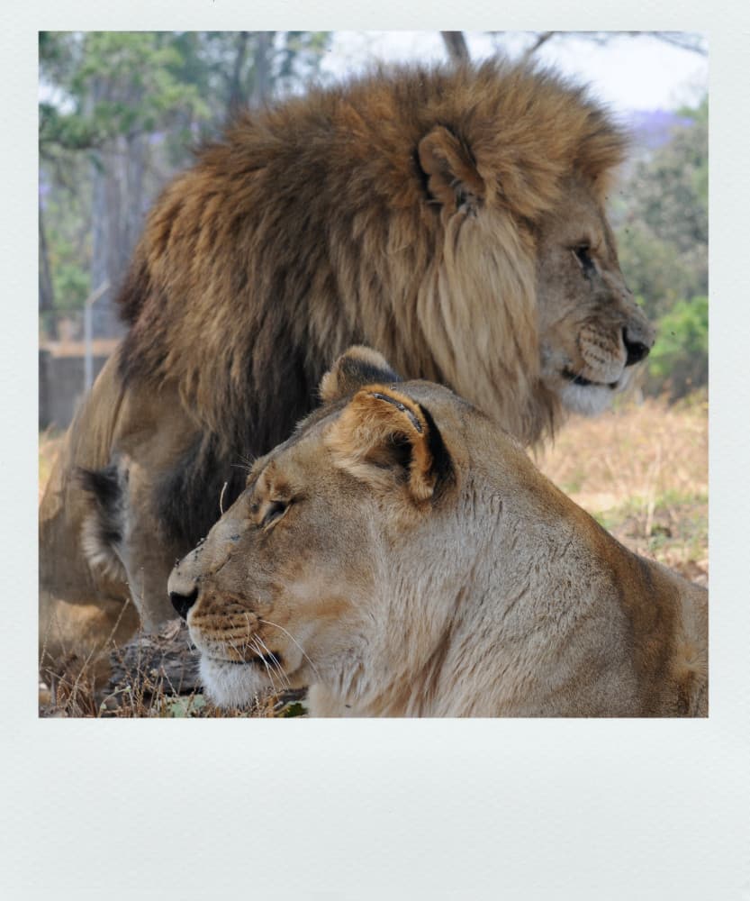Lusaka, Zambia